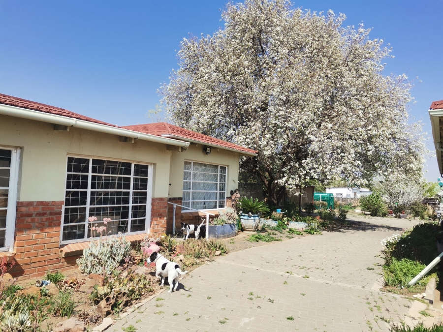 3 Bedroom Property for Sale in Senekal Free State